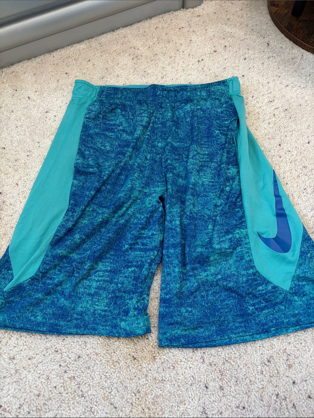 Nike Teal and Blue Boys' Athletic Shorts
